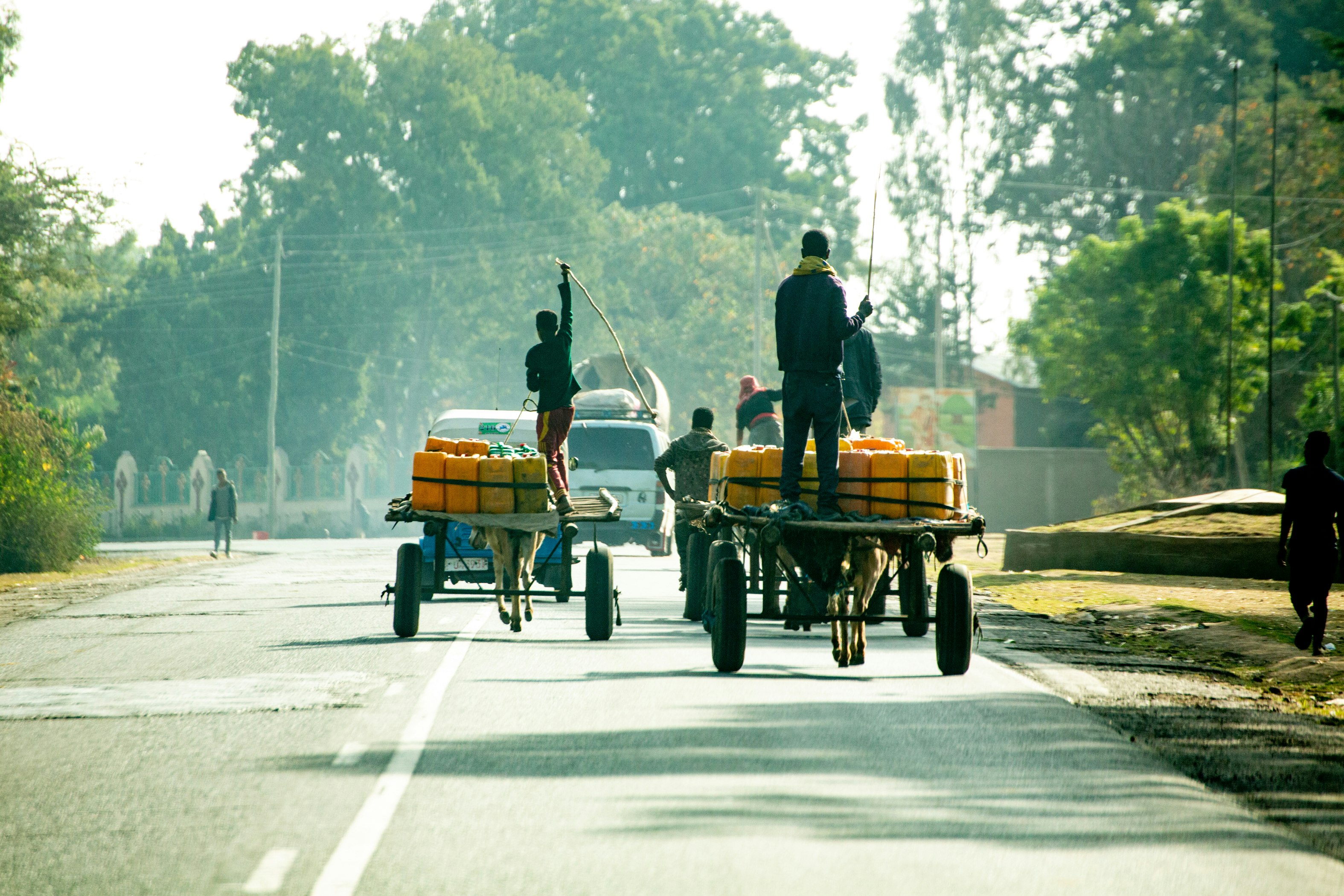 2 men riding on brown wooden cart on road during daytime